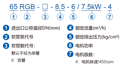 RGB系列蠕動(dòng)軟管泵型號(hào)說(shuō)明