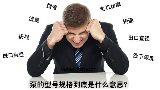 泵的型號(hào)規(guī)格到底是什么意思？